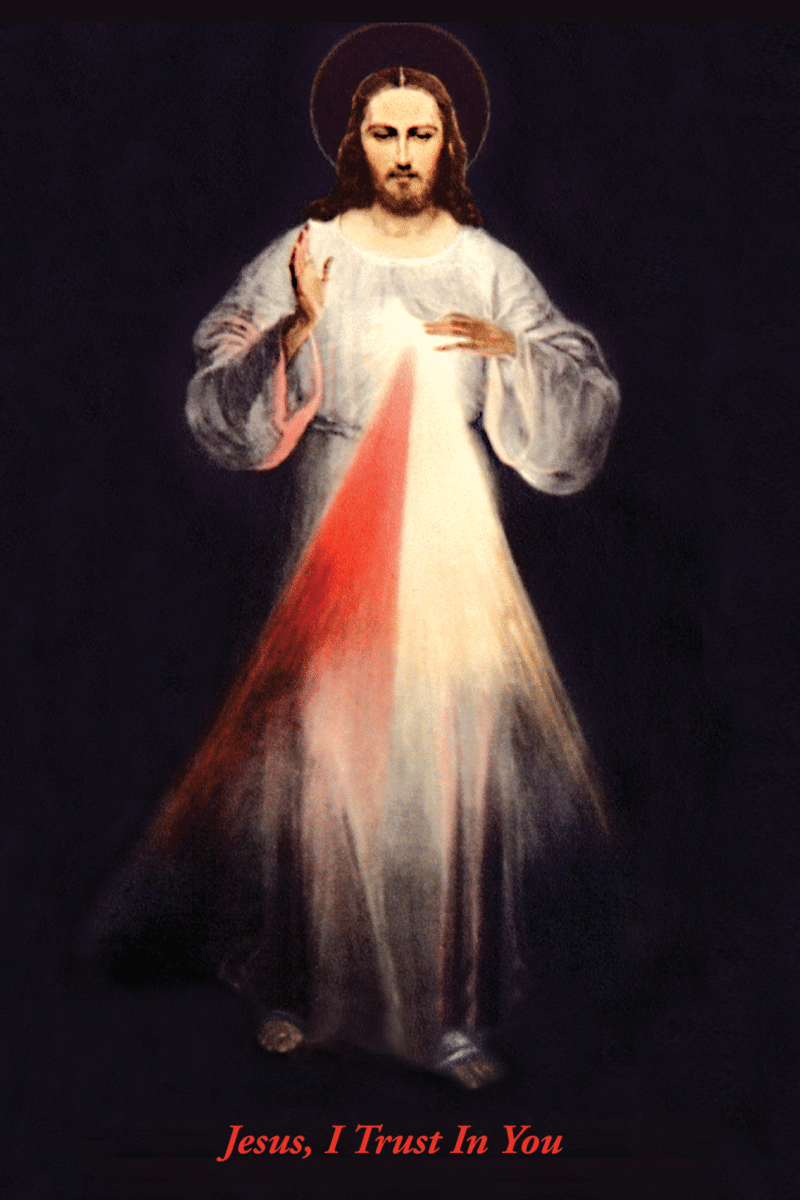 Divine Mercy Chaplet Holy Card With Promises Attached (pack of 100)