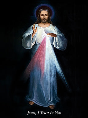 Divine Mercy Jesus (Vilnius Image) Canvas Print (16x20)