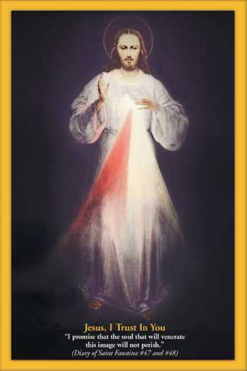 Divine Mercy Chaplet Holy Card With Promises Attached (pack of 100)